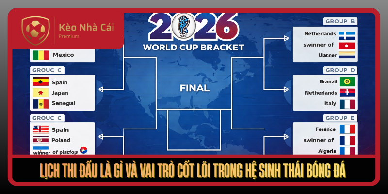 Lich Thi Dau La Gi Va Vai Tro Cot Loi Trong He Sinh Thai Bong Da1